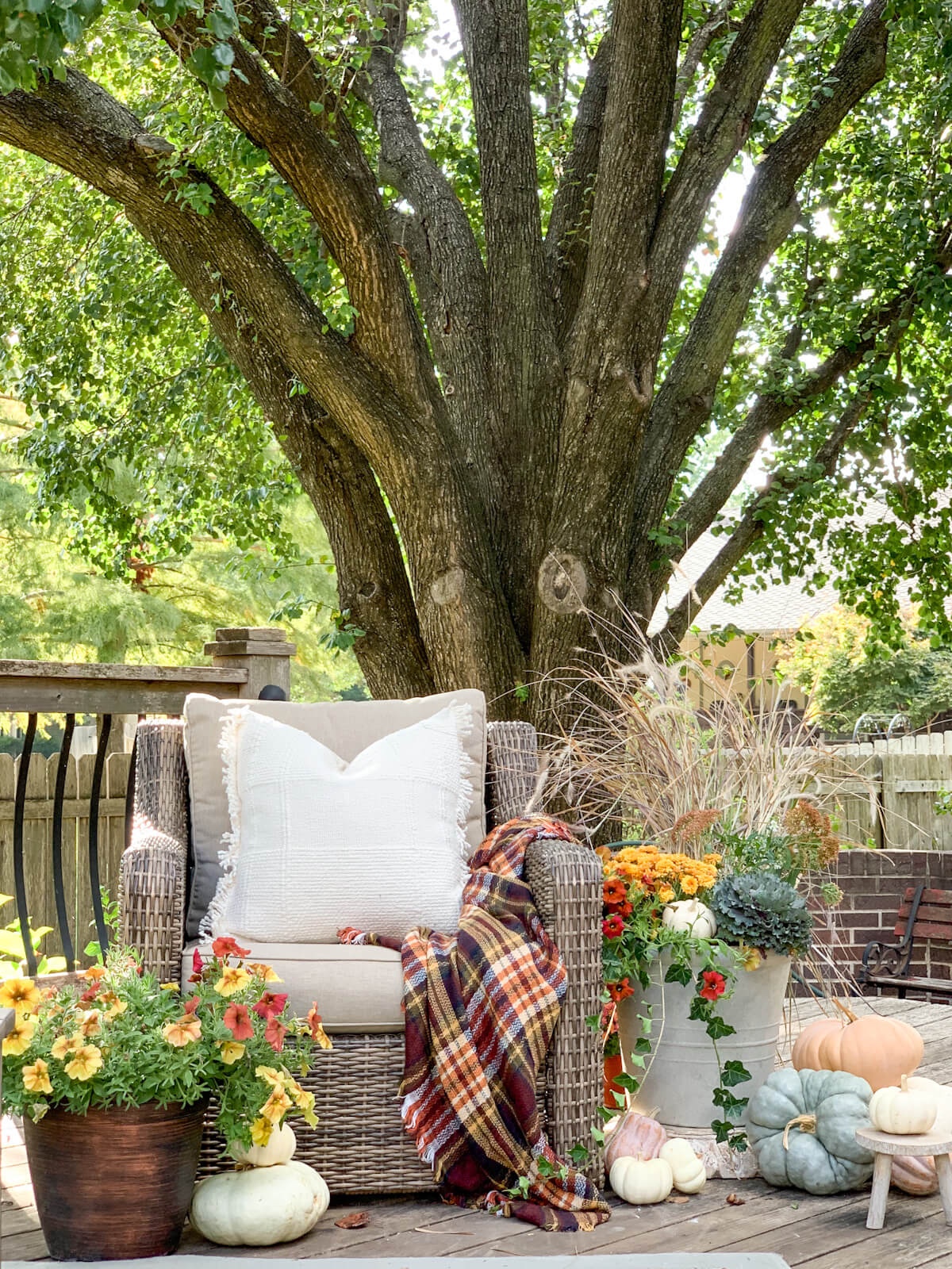 A fall-toned plaid throw graces an outdoor wicker chair. The chair is next to a fall container with live plants. A pot of petunias sits in front next to a pumpkin stack.