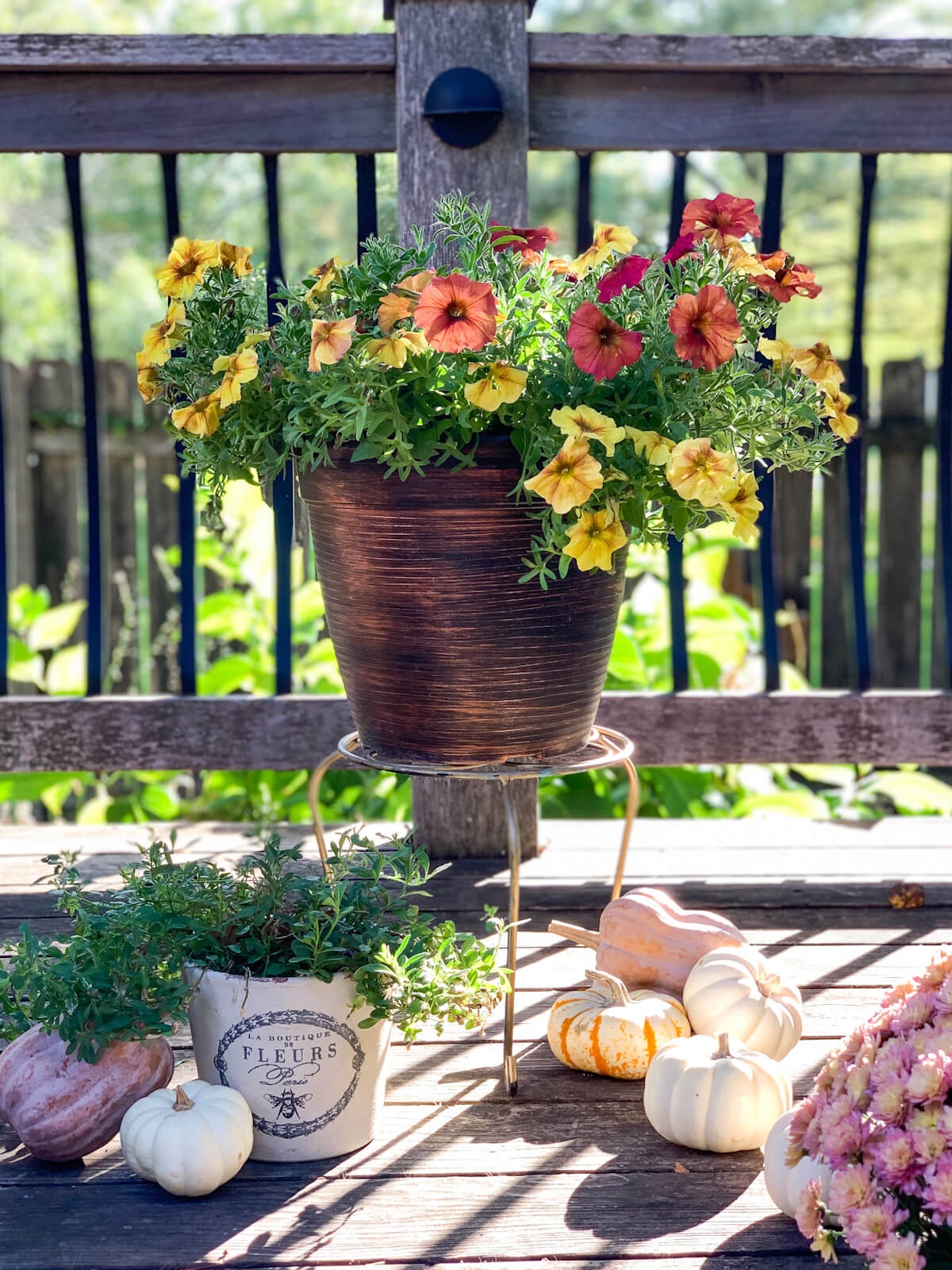 A burnt-red and yellow fall flower container is on a plant stand outside in a vignette with pumpkins, mums and other plant pots.
