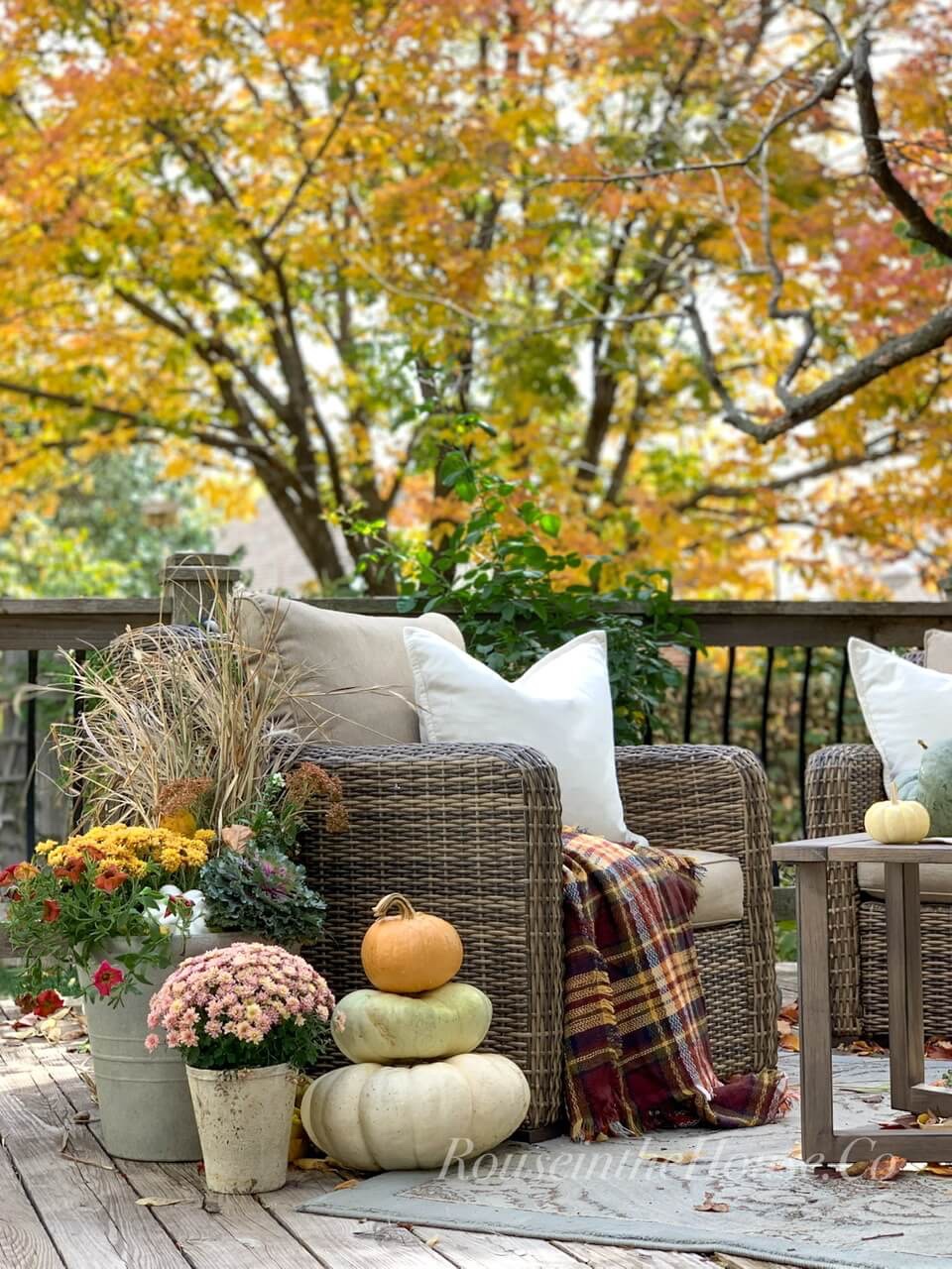 A cushioned outdoor wicker chair on a wood deck has a velvet pillow and a plaid throw. A stack of heirloom pumpkins and fall containers create a fall vignette on the side of the chair.  Fall foliage of an Ash Tree is in the background.