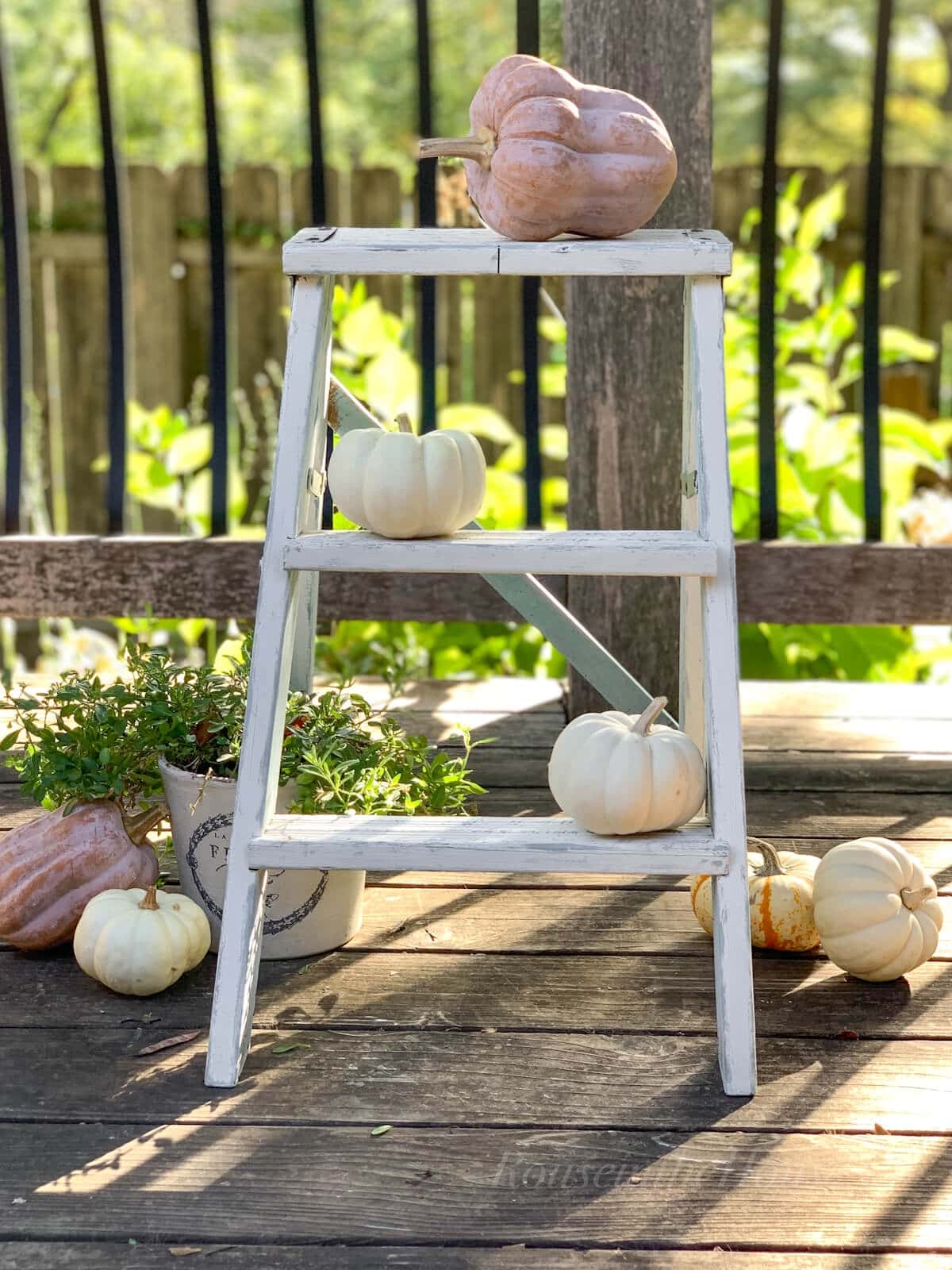 Fall deck decorating with small pumpkins and gourds on a rustic ladder.