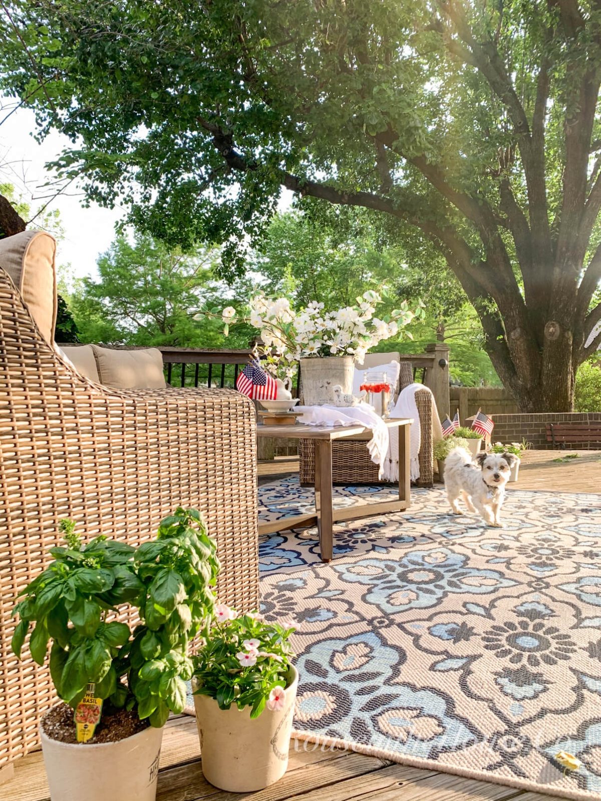 A blue and beige medallion outdoor area rug under a wicker patio furniture set. Potted herbs and flowers surround the sitting area.