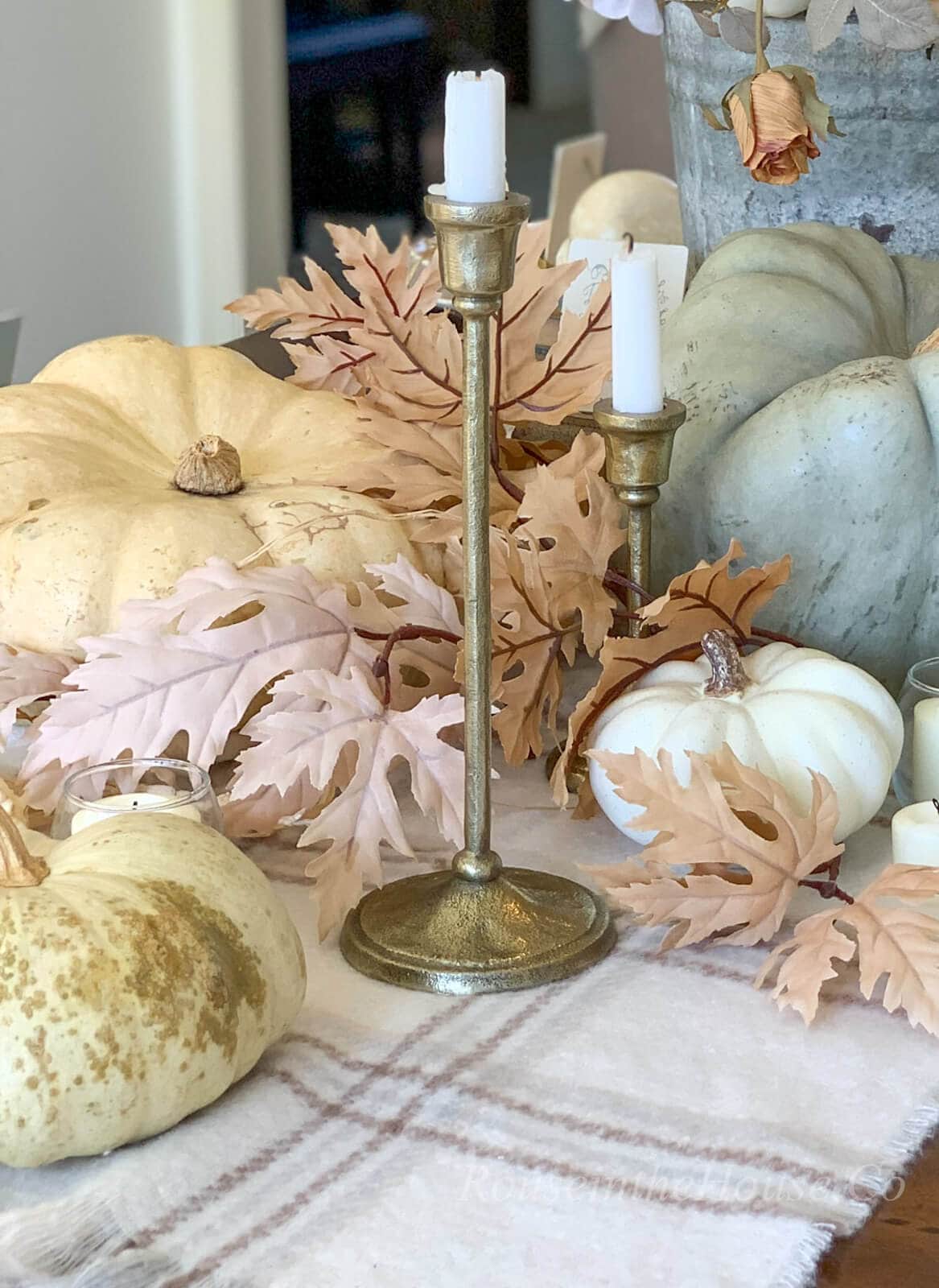 A mixture of various heirloom pumpkins are zig-zagged along the center of the table.  Faux tan maple leaves are tucked in between the pumpkins.  Gold candlesticks are placed in between the pumpkins and leaves. All of the Thanksgiving decorations sit atop an ivory plaid scarf, used as a table runner.